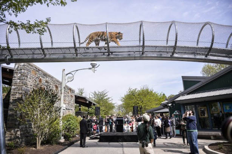 Philadelphia Zoo the tiger's air passage.jpg