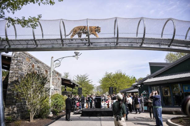 Zoo mesh for animal enclosure 