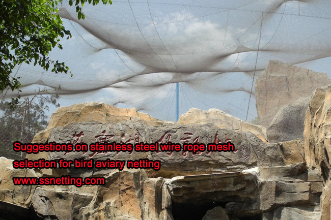 Suggestions on stainless steel wire rope mesh selection for bird aviary netting
