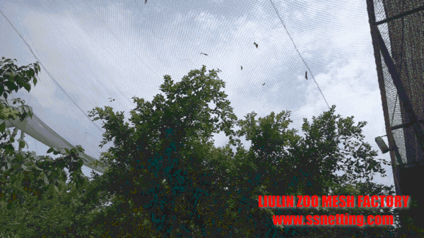 stainless steel bird aviary roof netting projects