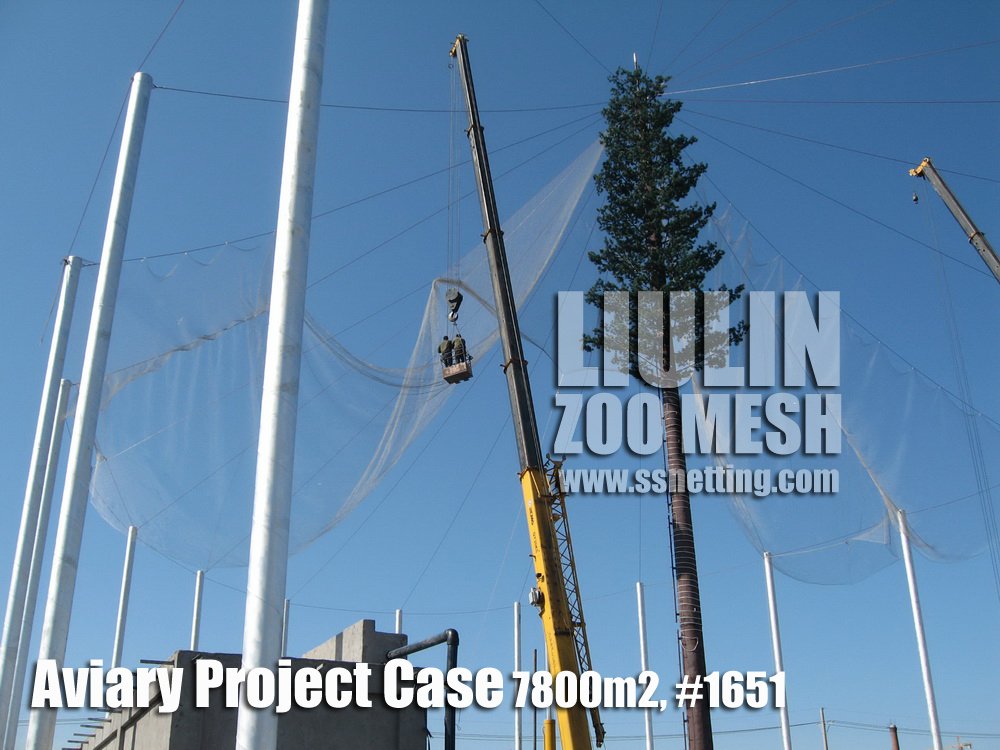 Aviary netting project Installation case