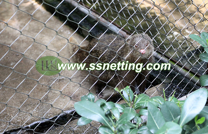 Small cat cage fence, marmot fence, ferret cage netting, dormouse enclosure, hedgehog fence