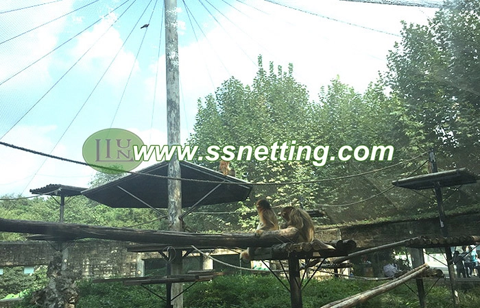 Monkey Enclosure Mesh