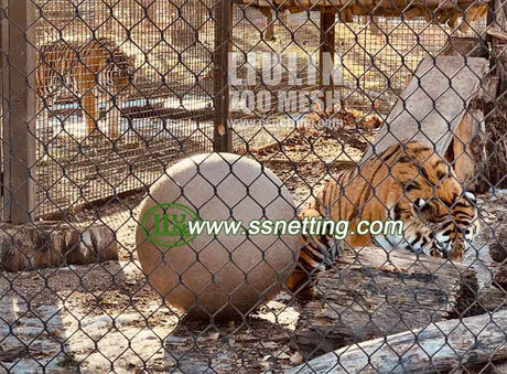 tiger enclosure mesh fence.jpg