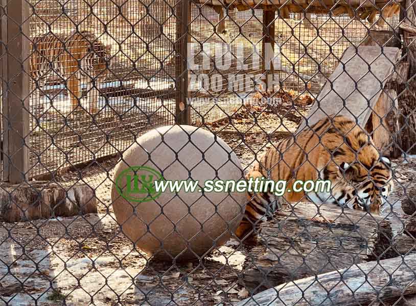 Zoo Tiger Enclosure Mesh