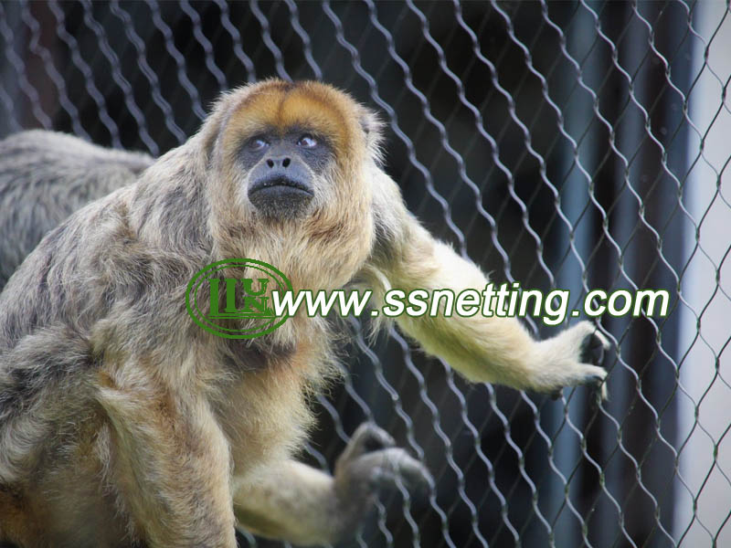 Monkey Enclosure Mesh Material