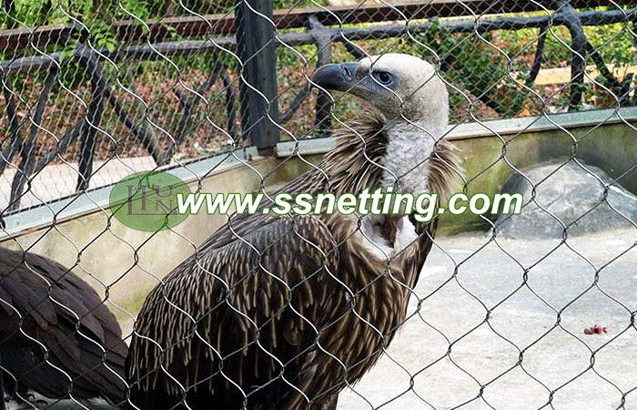 Eagle netting, Hawk netting, Vulture netting