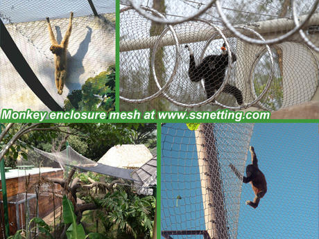 Do you know the monkey enclosure mesh?