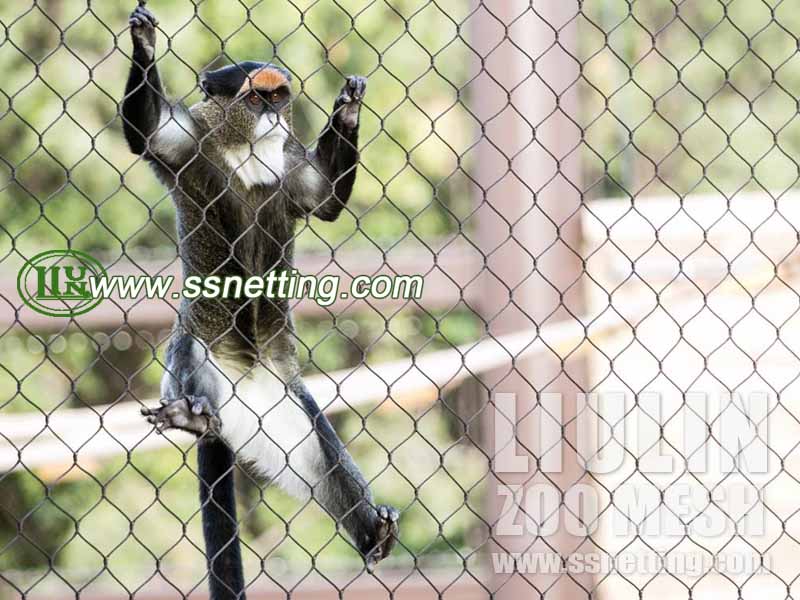 Steel Cable Netting for Monkey Enclosure Netting
