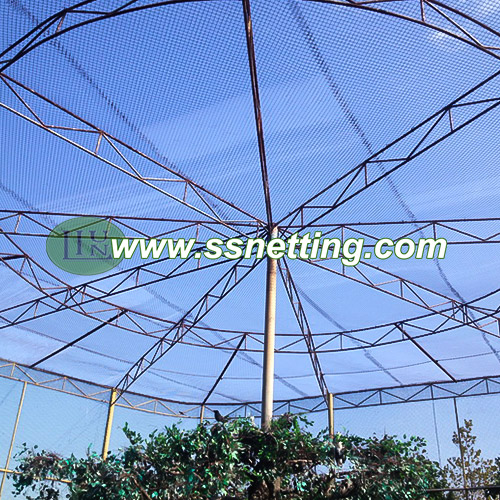 Protect Your Birds with Weather-Resistant and Rust-Proof Aviary Mesh