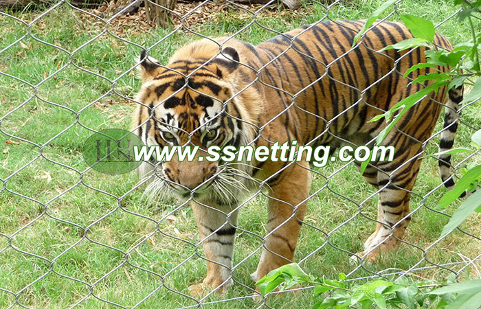 jaguar fence, Bengal Tiger fence