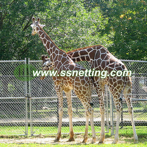 High-Strength Deer Fence Mesh for Agricultural and Environmental Use