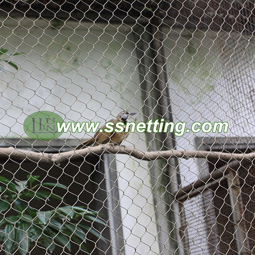Bird Cages Mesh