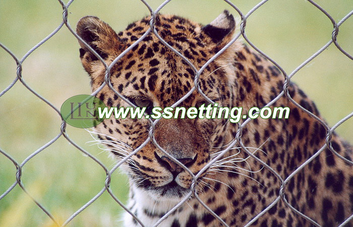 Leopard Cage Enclosure, Leopard fence, panther fence