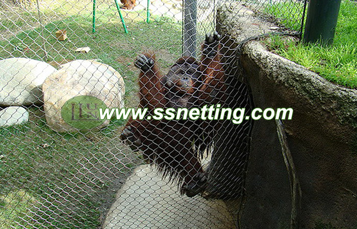 Gorilla Cage Fence, Gorilla enclosure, Gibbon fence