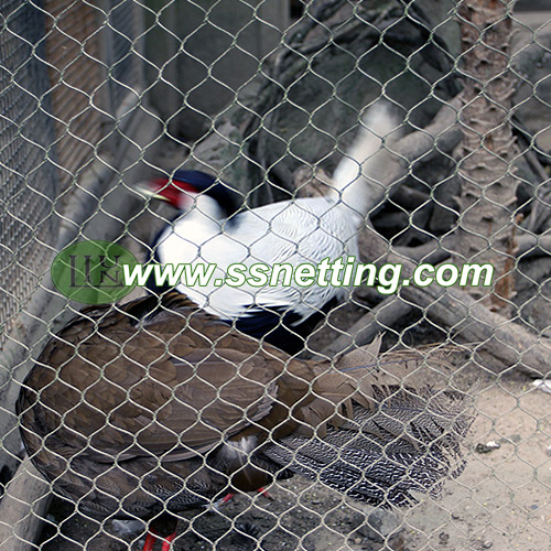 Bird Cage Wire Mesh:Secure, Durable&100% Customizable
