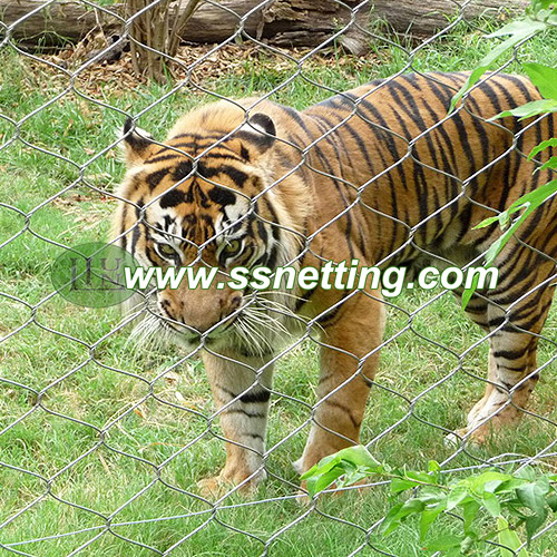 Tiger Enclosure Mesh